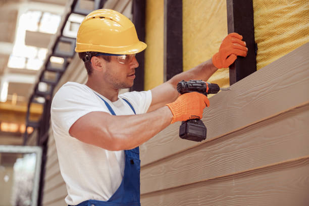 Best Siding Painting and Refinishing  in Amityville, NY